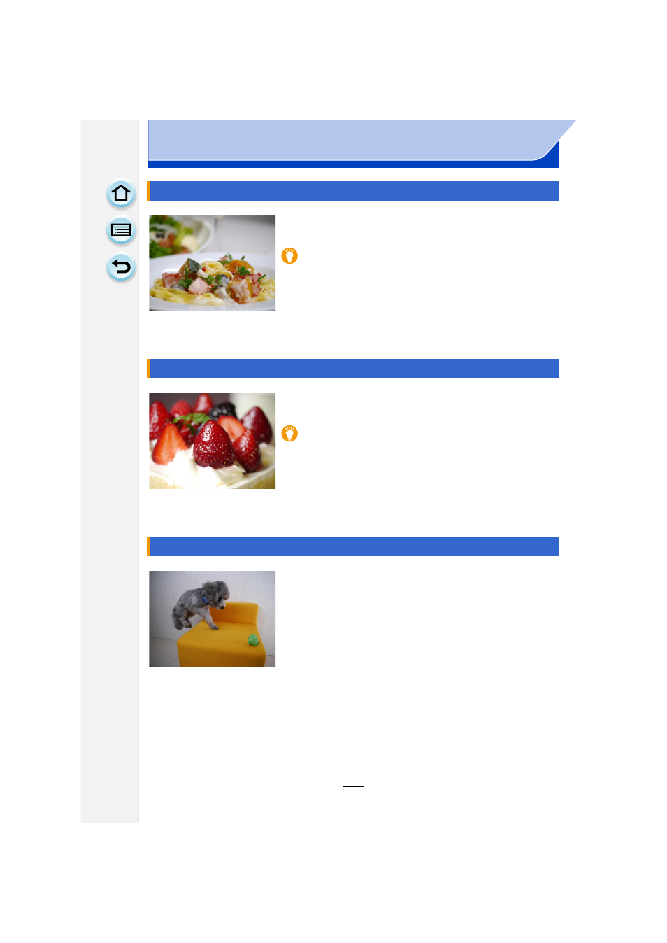 Appetizing food, Cute dessert, Freeze animal motion | Panasonic DMC-GF6KK User Manual | Page 106 / 334