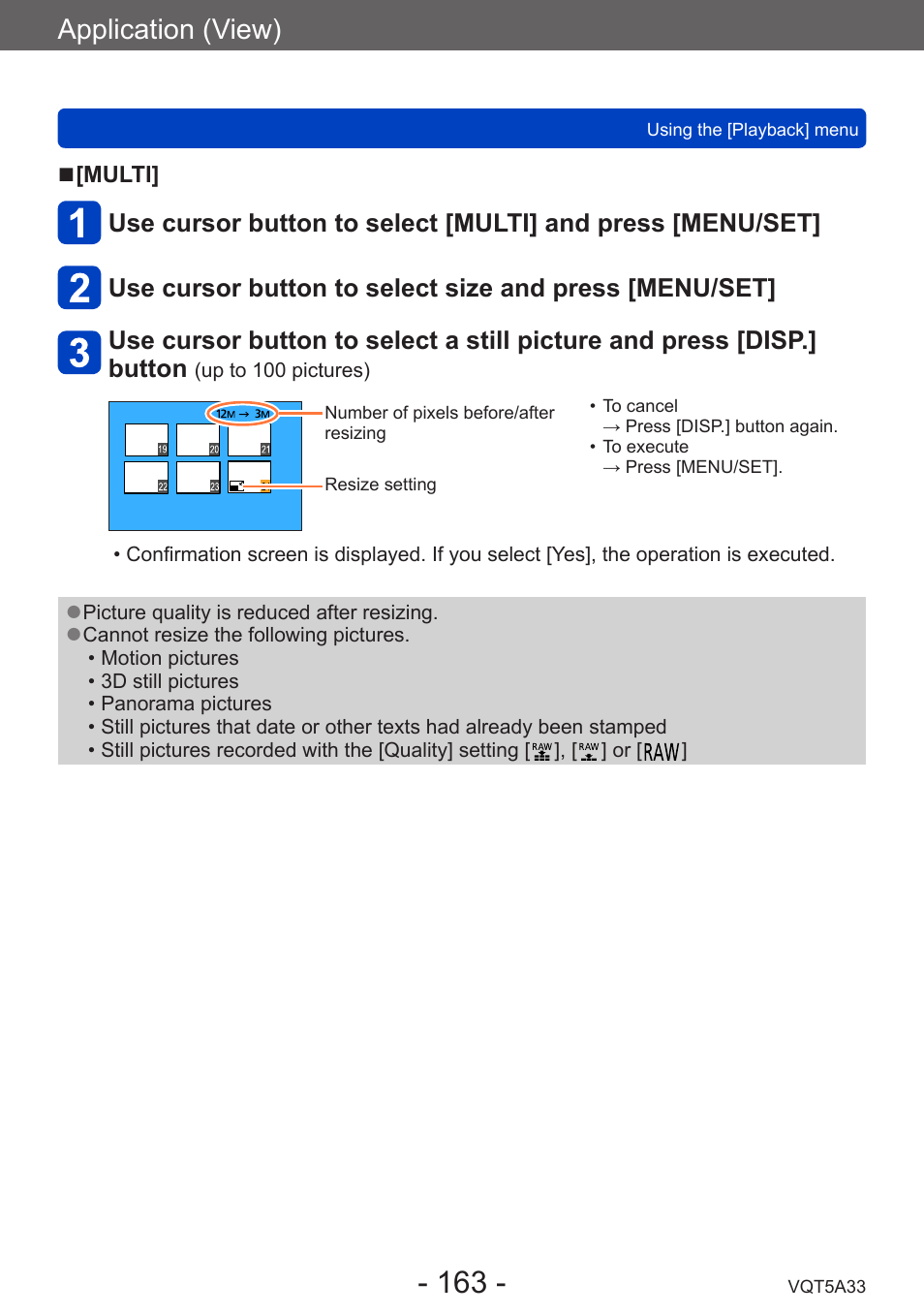 Application (view) | Panasonic DMC-LF1W User Manual | Page 163 / 285