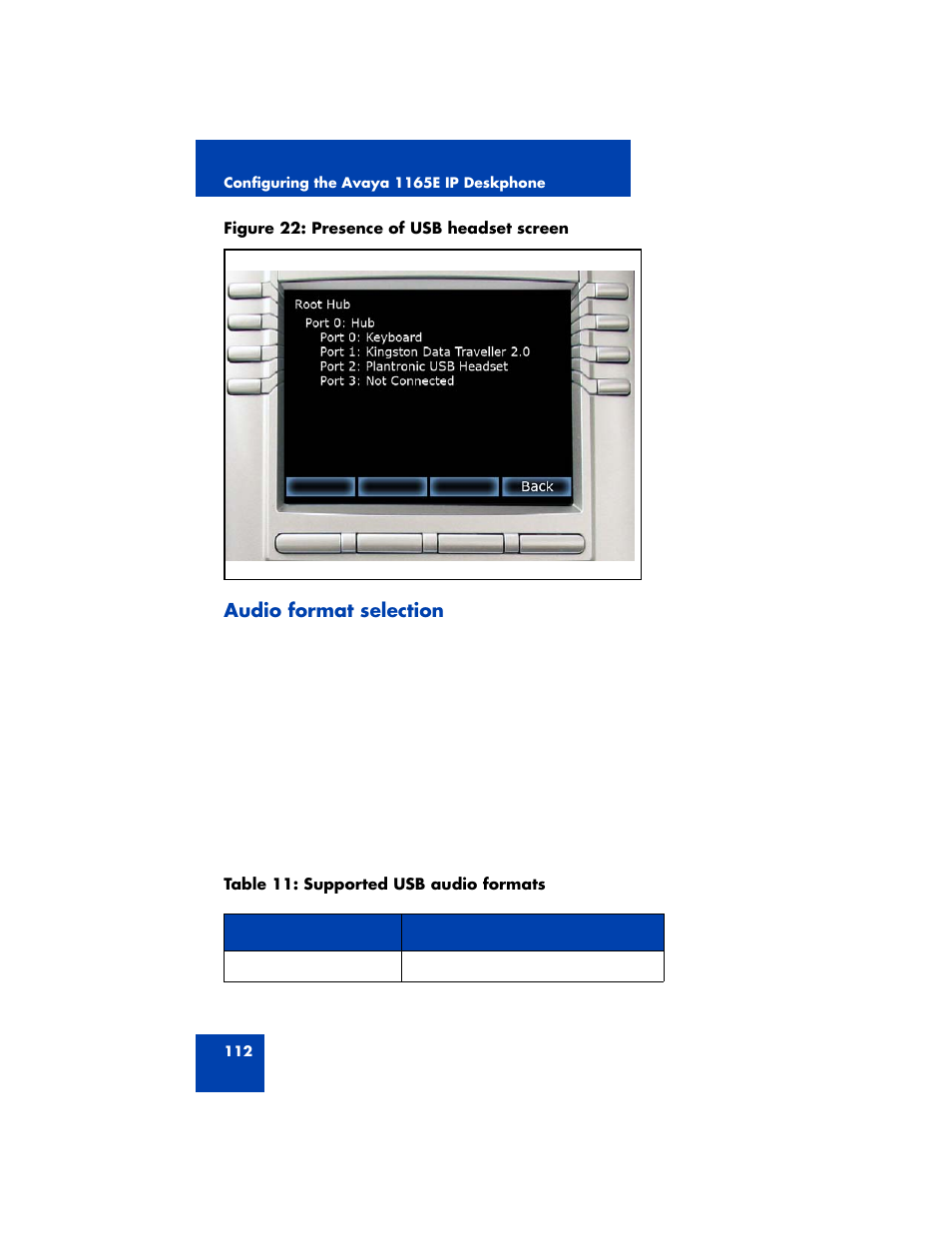 Audio format selection | Avaya NN43170-100 User Manual | Page 112 / 378