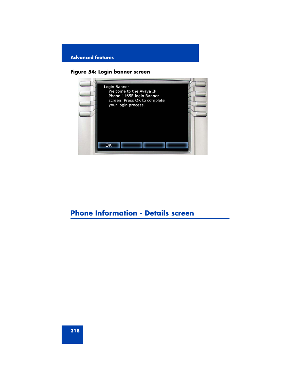 Phone information - details screen | Avaya NN43170-100 User Manual | Page 318 / 378