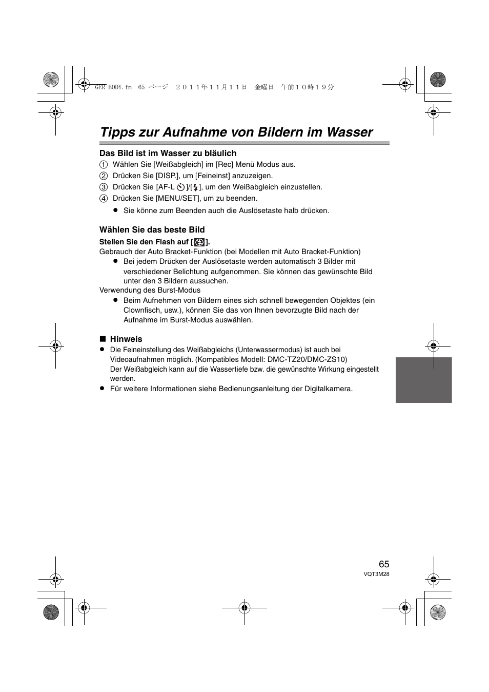 Tipps zur aufnahme von bildern im wasser | Panasonic DMWMCTZ20PP User Manual | Page 65 / 184