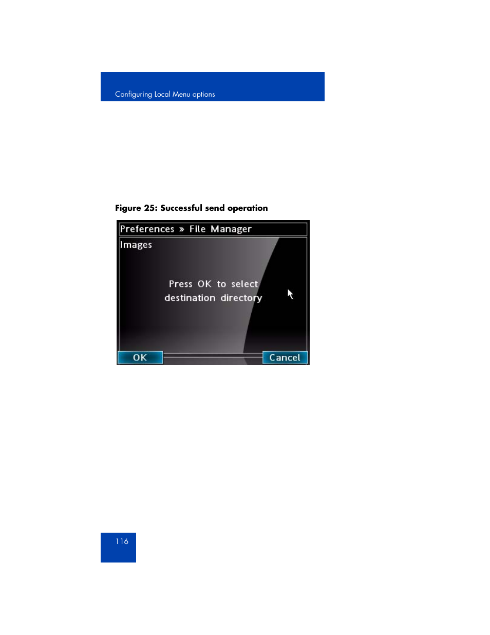 Avaya 1165E User Manual | Page 116 / 260