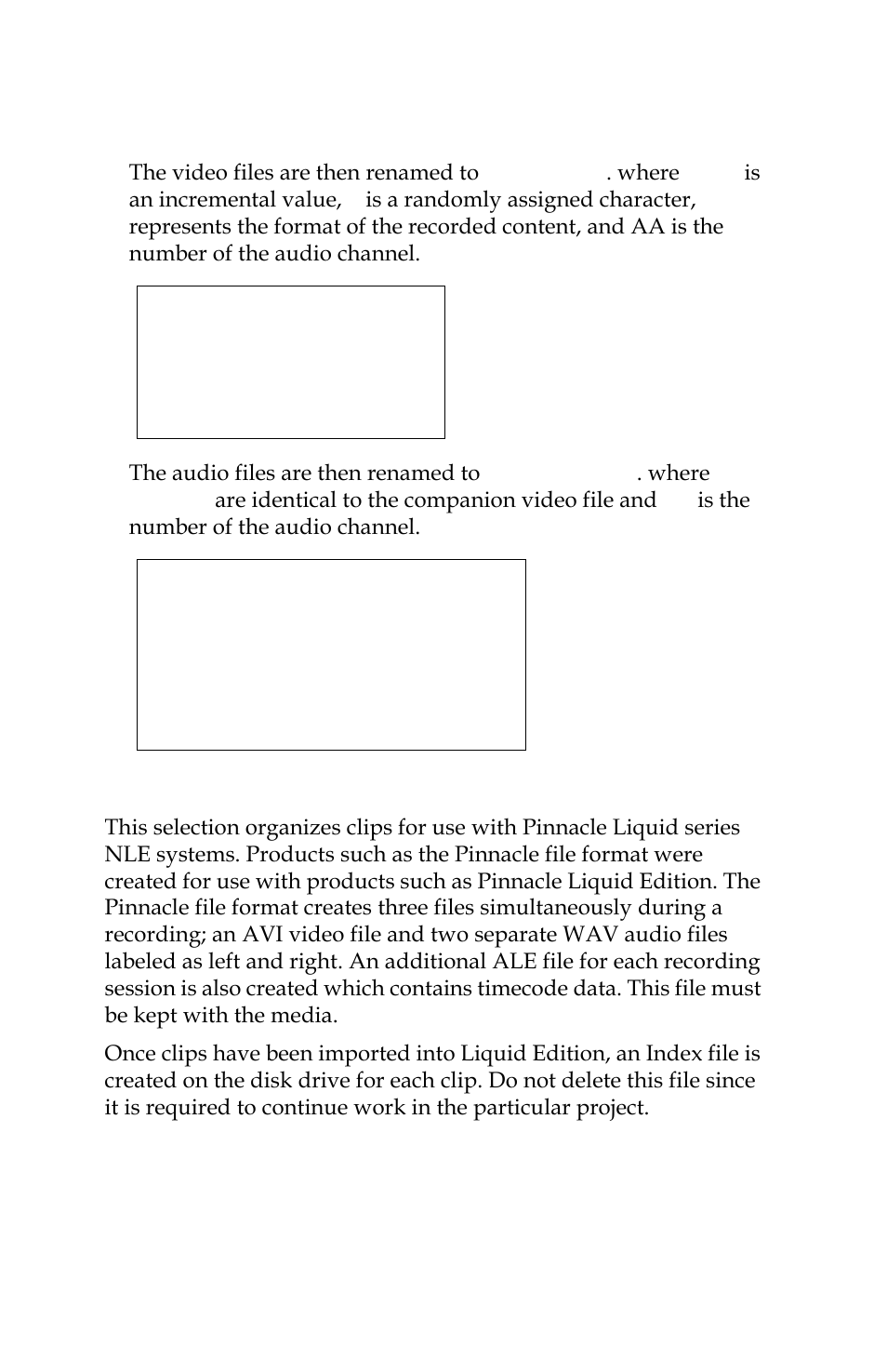 File naming conventions, Organize pinn | Panasonic FS-100 User Manual | Page 90 / 154