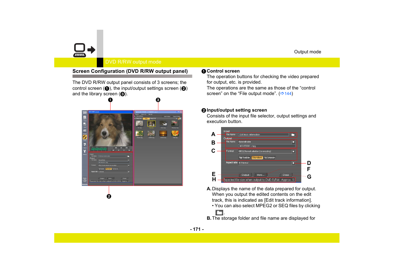 Screen configuration (dvd r/rw output panel) | Panasonic MotionSD STUDIO 1.0E User Manual | Page 171 / 231
