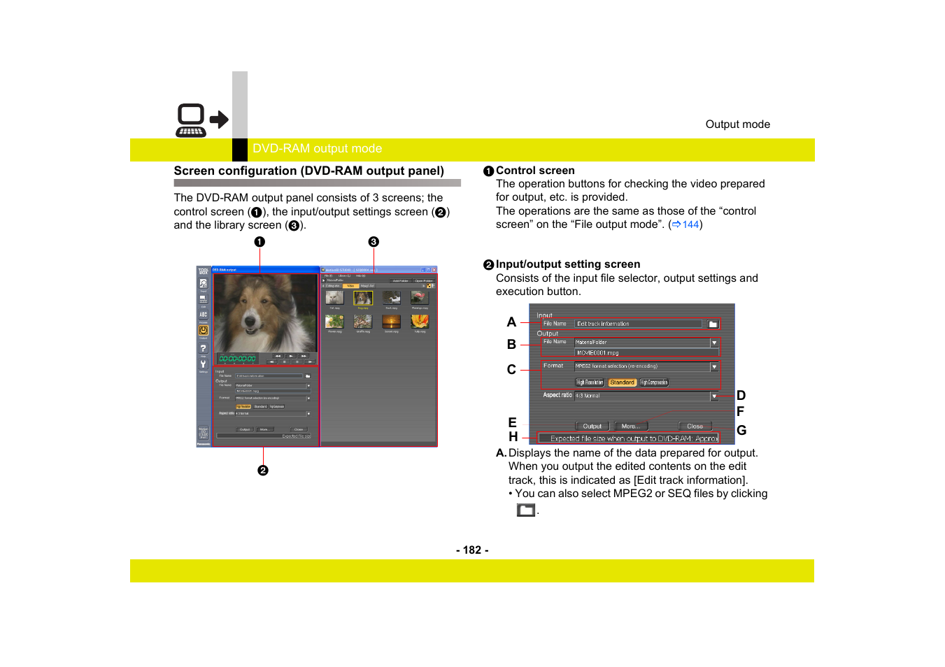 Screen configuration (dvd-ram output panel) | Panasonic MotionSD STUDIO 1.0E User Manual | Page 182 / 231