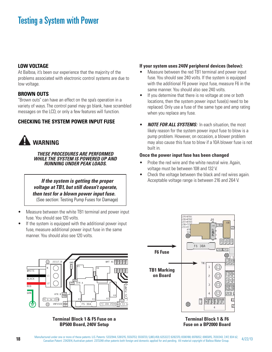 Testing a system with power, Warning, Low voltage | Brown outs, Checking the system power input fuse | Balboa Water Group BP 60Hz User Manual | Page 18 / 86