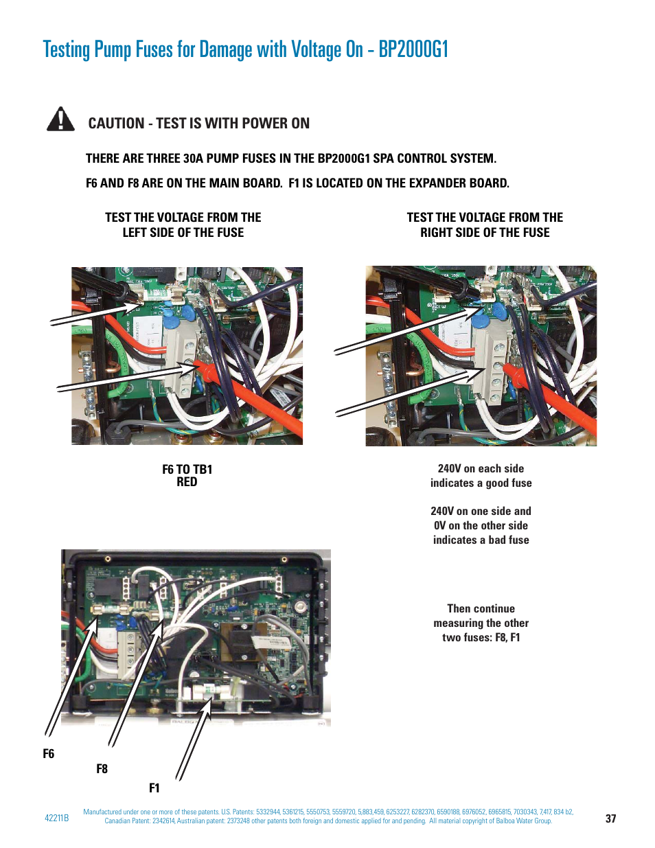 Balboa Water Group BP 60Hz User Manual | Page 37 / 86