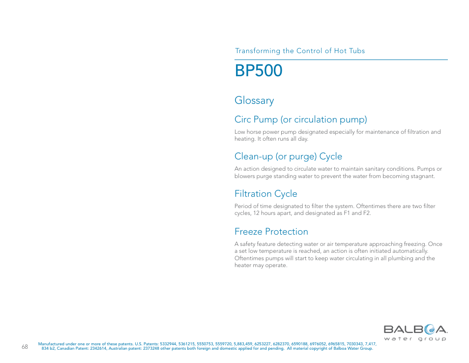 Bp500, Glossary | Balboa Water Group BP500 System User Manual | Page 68 / 74
