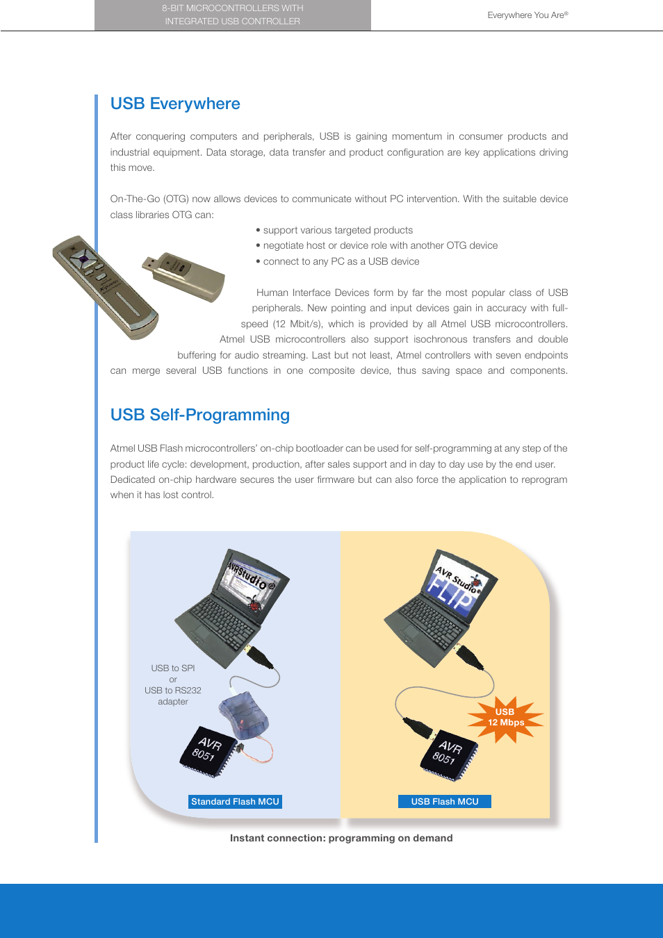 Usb everywhere, Usb self-programming | Atmel 8-bit Microcontrollers with Integrated USB Controller User Manual | Page 2 / 4