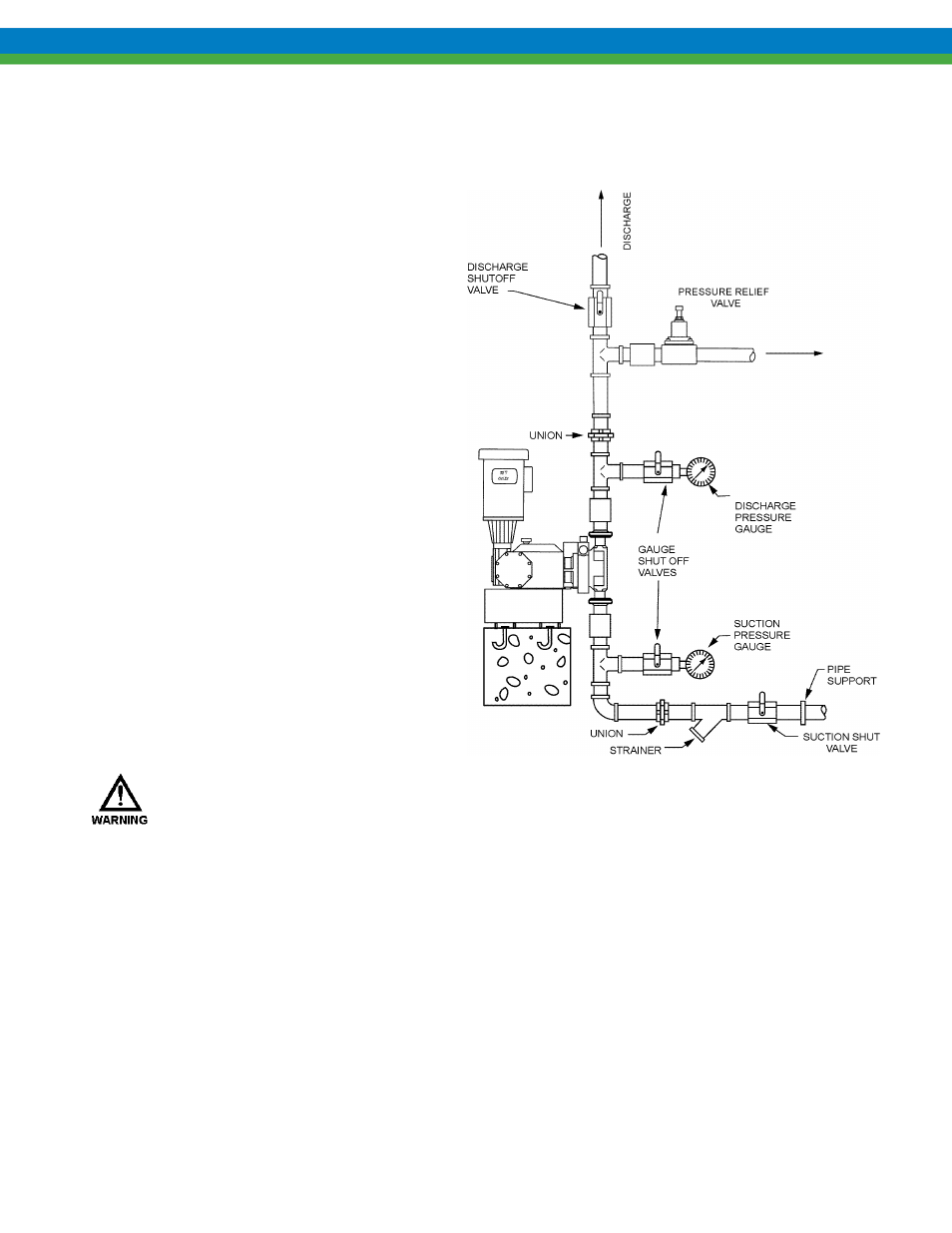 Piping system, 2 piping system | Pulsafeeder Pulsar Shadow User Manual | Page 12 / 54
