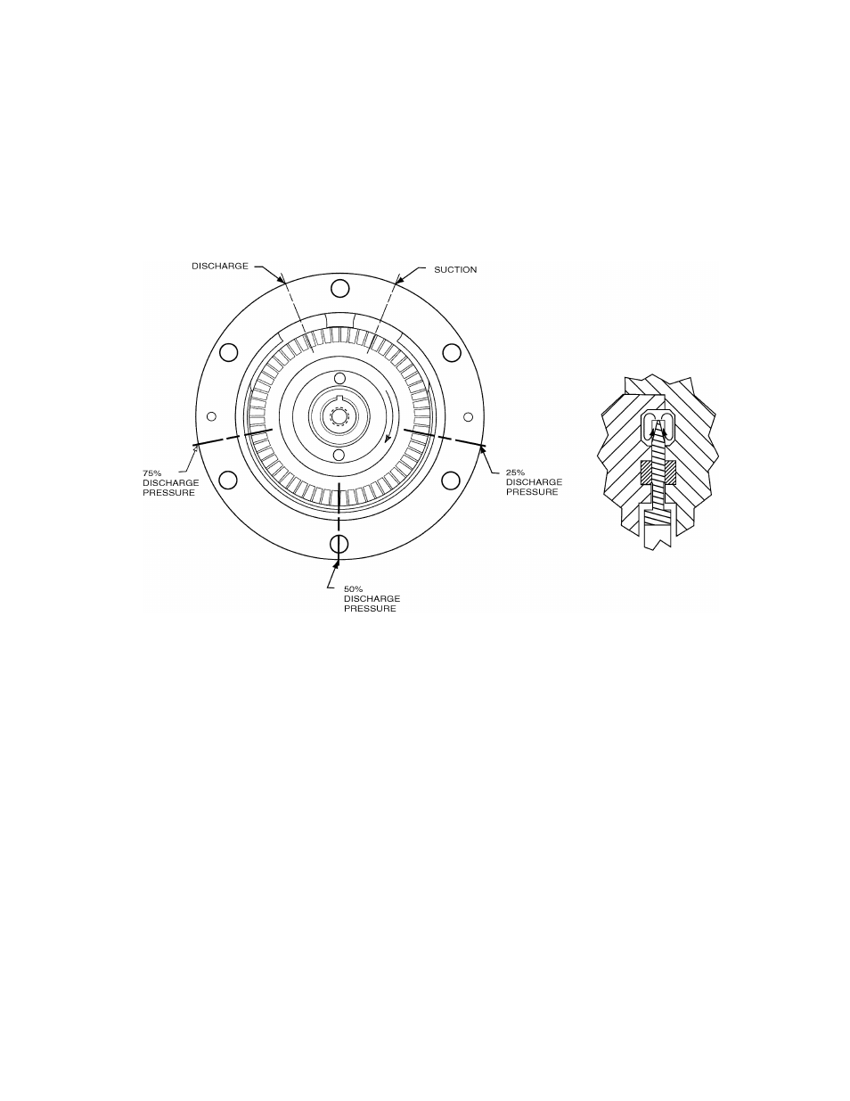Introduction | Pulsafeeder Isochem RGT IOM User Manual | Page 6 / 44