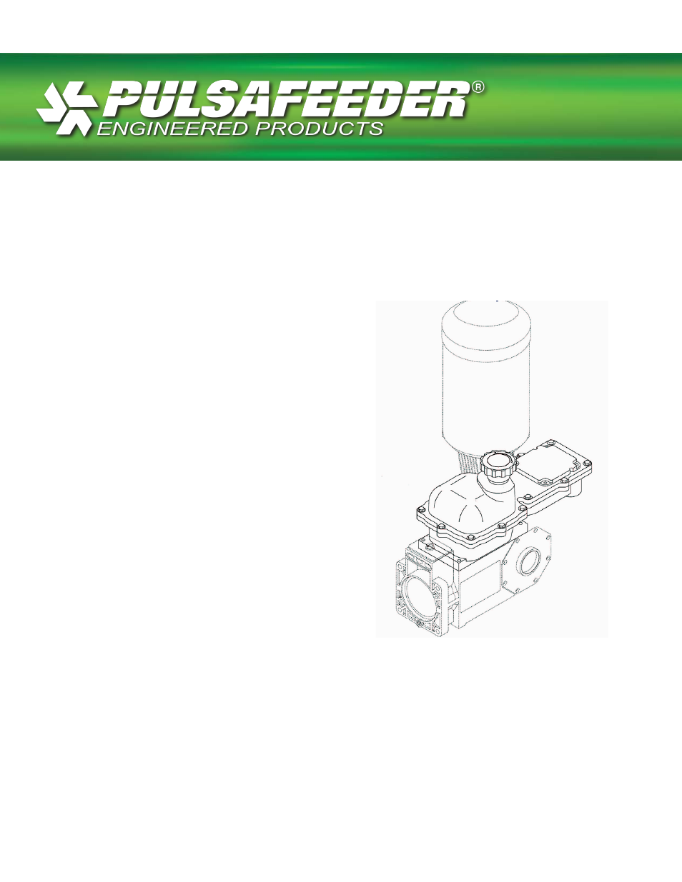 Pulsafeeder Pulsar ECA NEMA4X User Manual | 38 pages