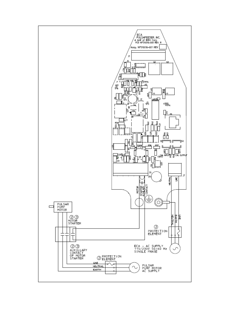 Pulsafeeder Pulsar ECA NEMA4X User Manual | Page 20 / 38