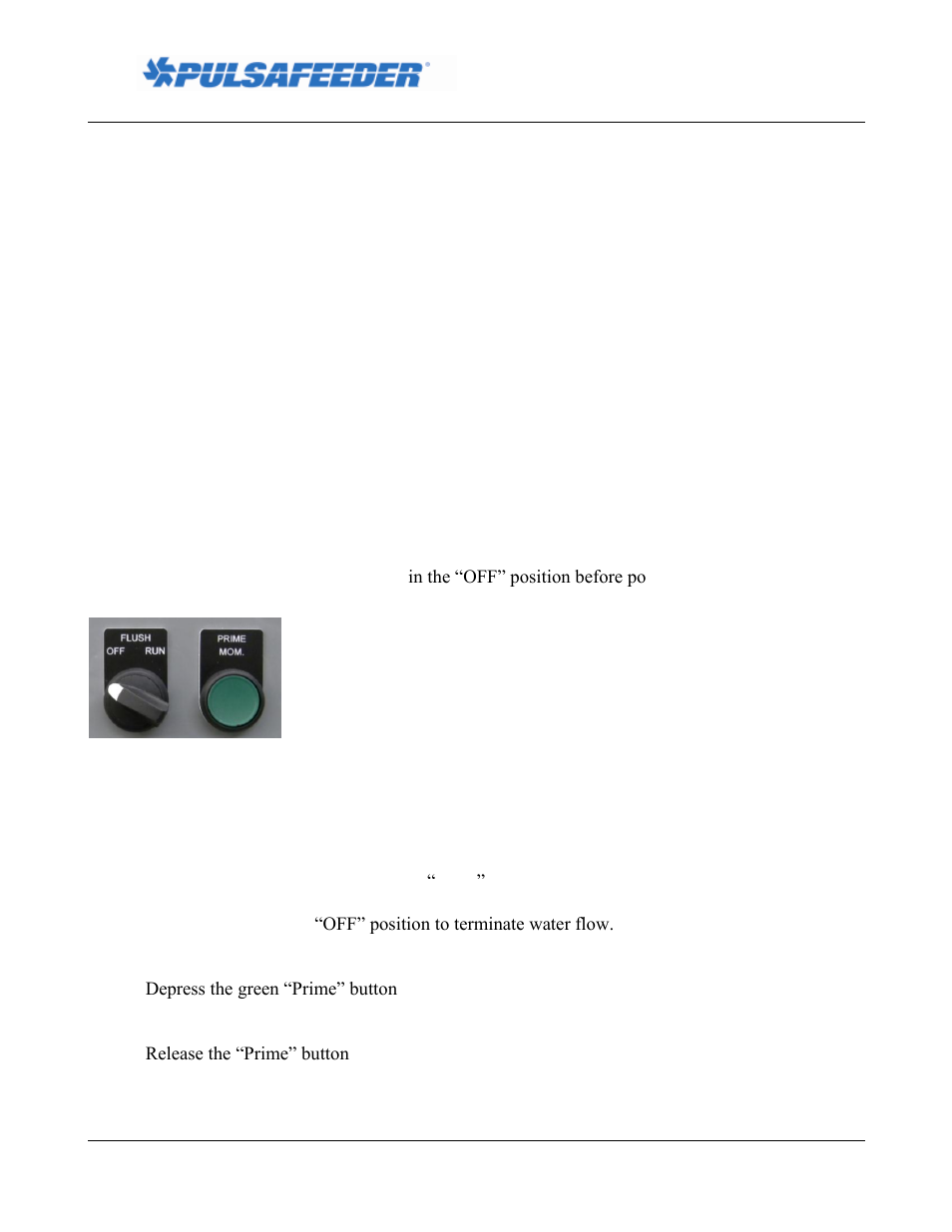 Electrical connection, Initial prime | Pulsafeeder Polymer Makedown Systems EN User Manual | Page 10 / 11