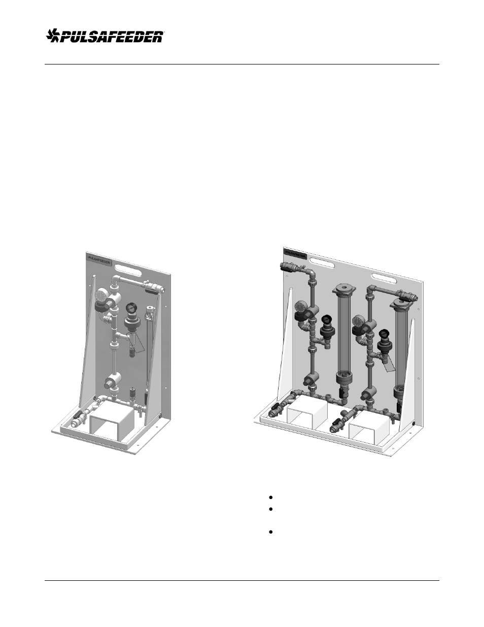 Introduction | Pulsafeeder Pre-Engineered Skid Systems User Manual | Page 4 / 23
