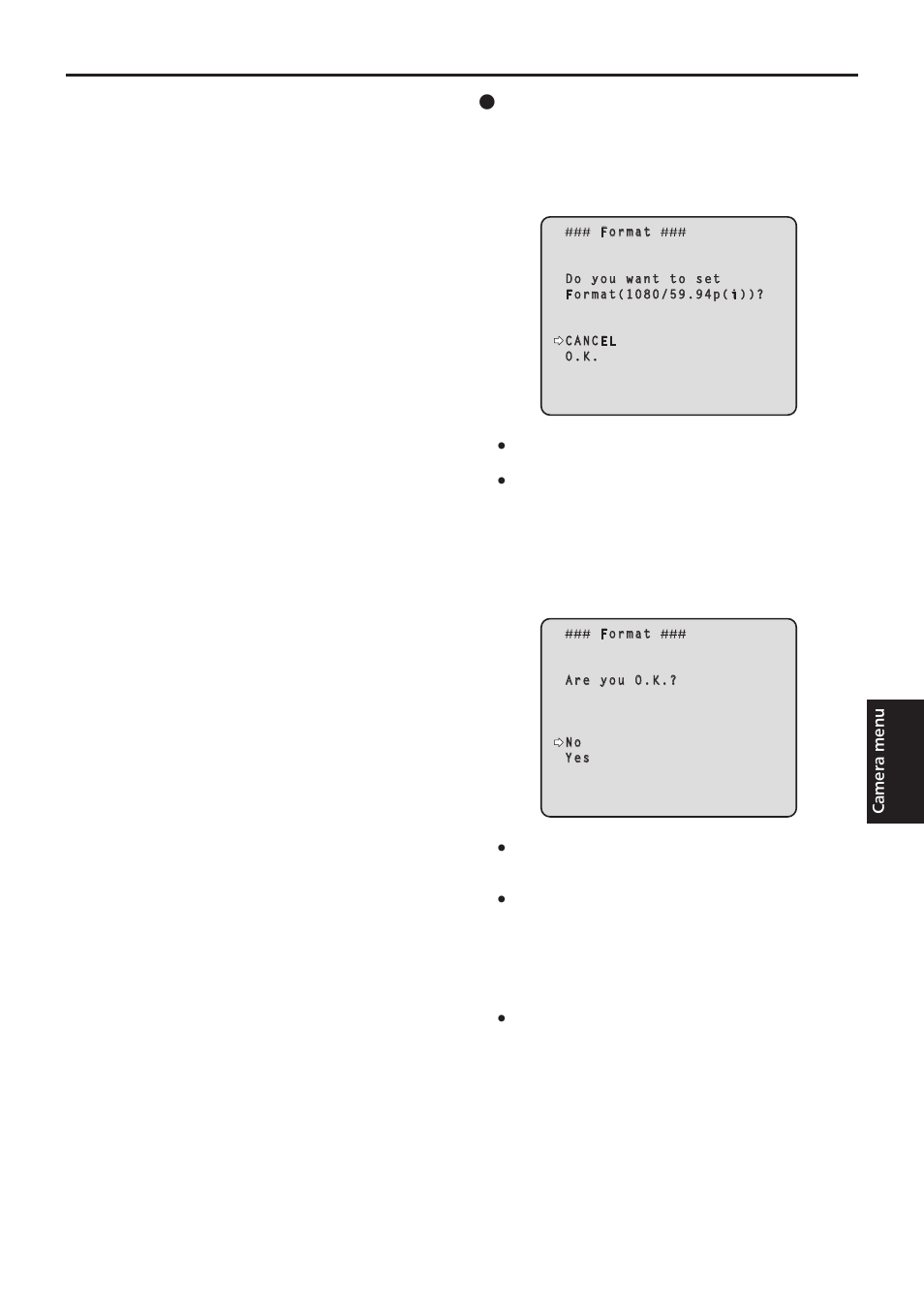 Setting the camera menu items, Continued), Changing the format | Vaddio HE120 Operating Instructions User Manual | Page 47 / 100