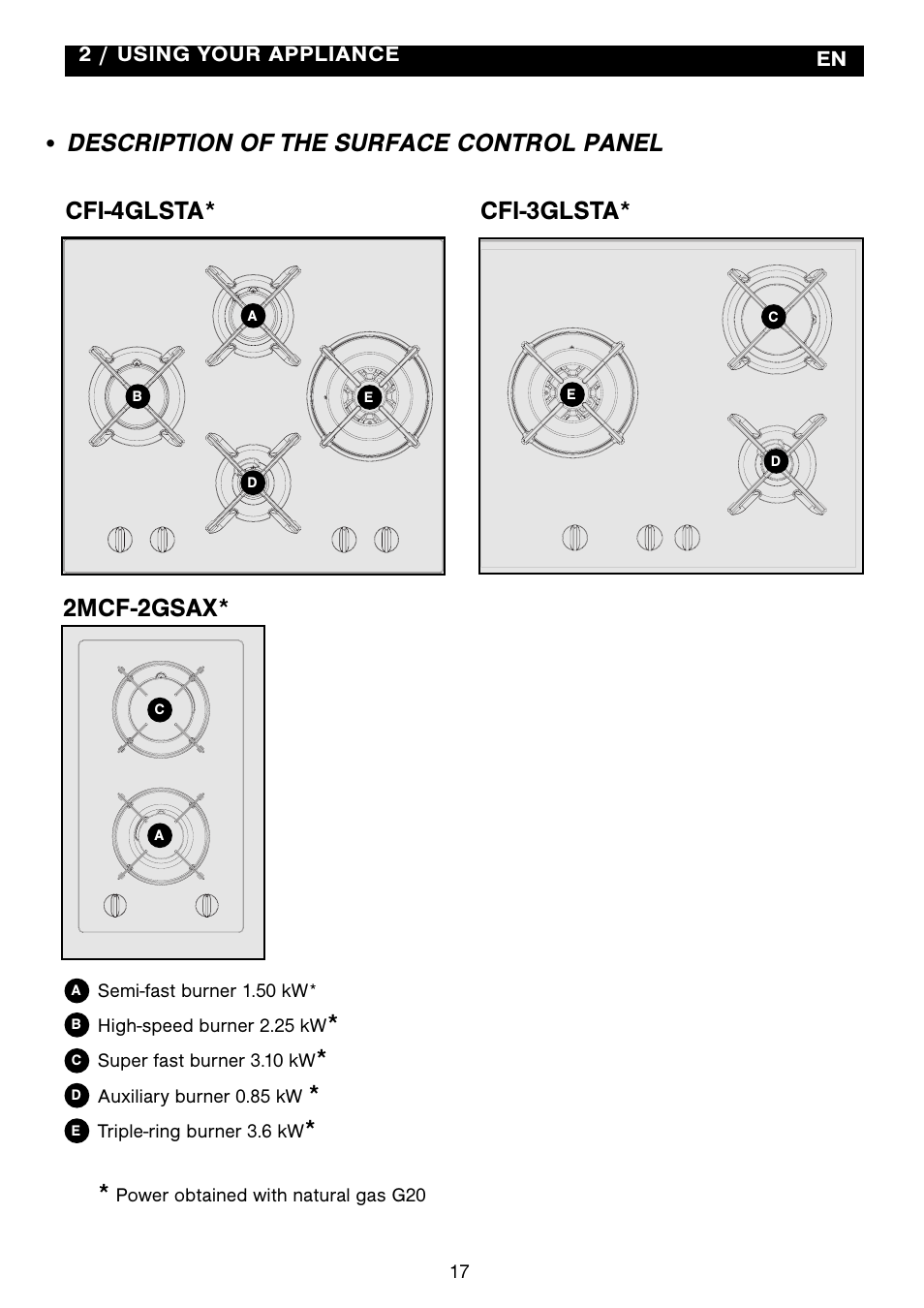 Cfi-3glsta | Fagor 2MCF-2GSAXBUT User Manual | Page 17 / 68