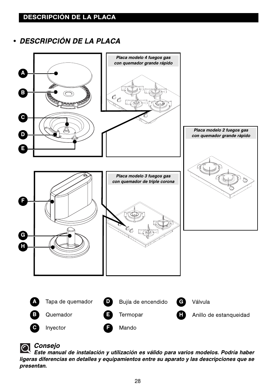 Descripción de la placa, Consejo | Fagor 2MCF-2GSAXBUT User Manual | Page 28 / 68