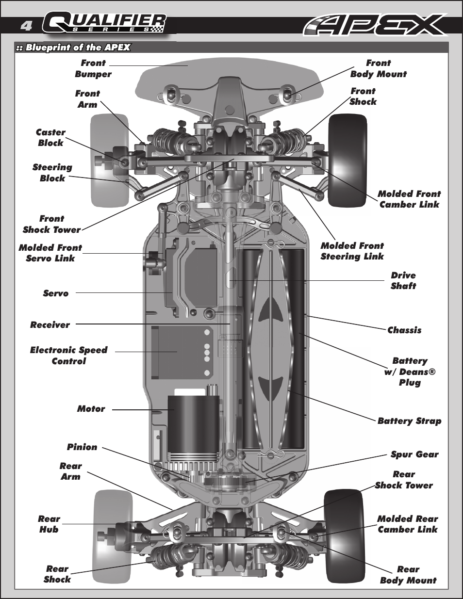 Team Associated APEX Touring Brushless Powered User Manual | Page 4 / 30