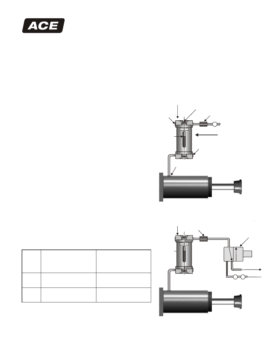 ACE Controls SA Adjustable 3" Bore Series User Manual | 2 pages