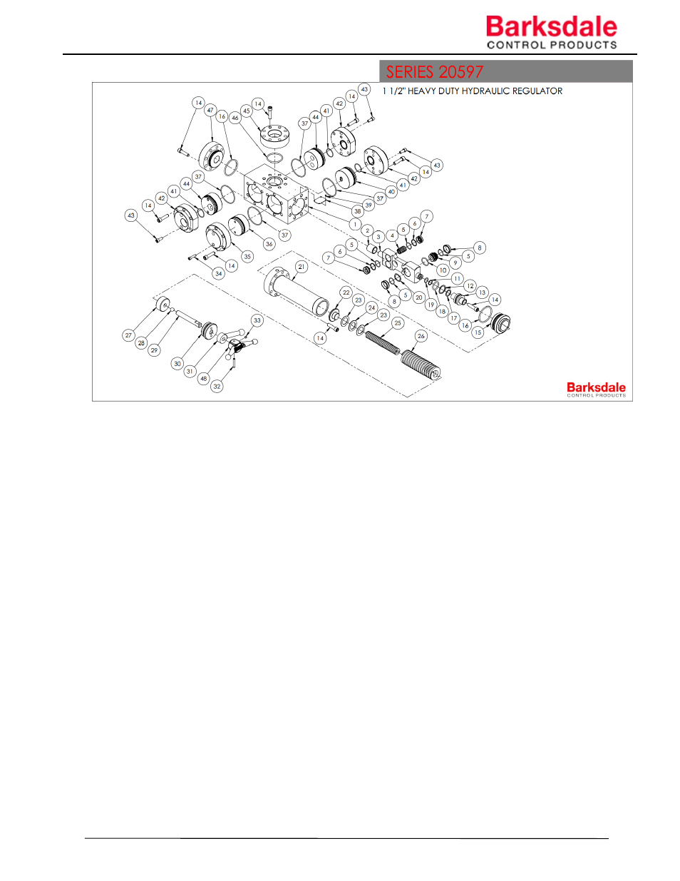 Barksdale Series 20597 User Manual | Page 8 / 10
