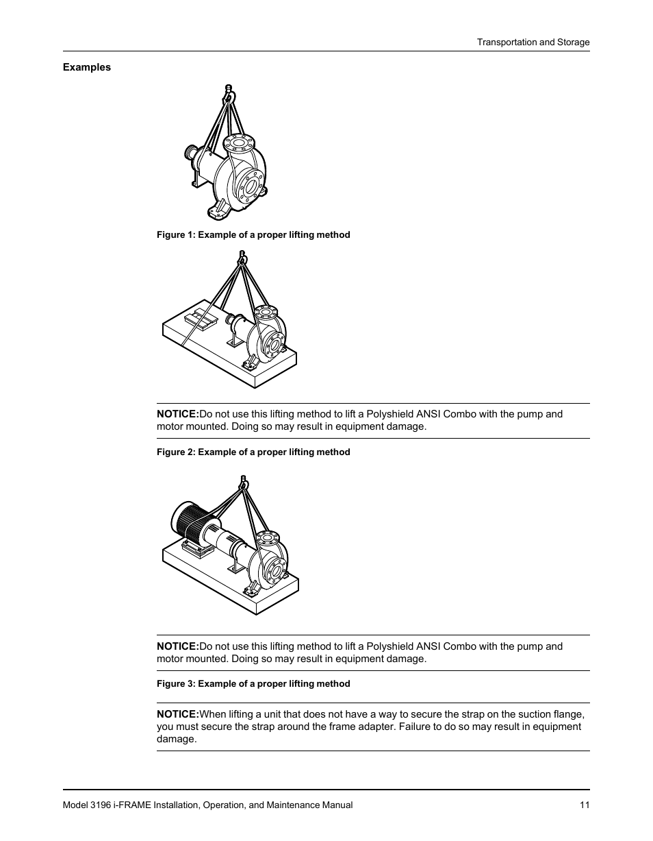 Goulds Pumps 3196 i-FRAME - IOM User Manual | Page 13 / 152