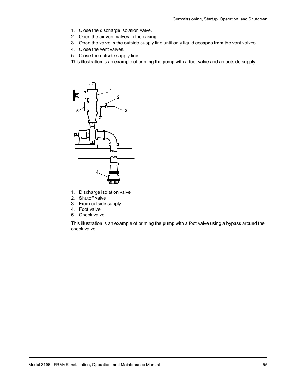 Goulds Pumps 3196 i-FRAME - IOM User Manual | Page 57 / 152