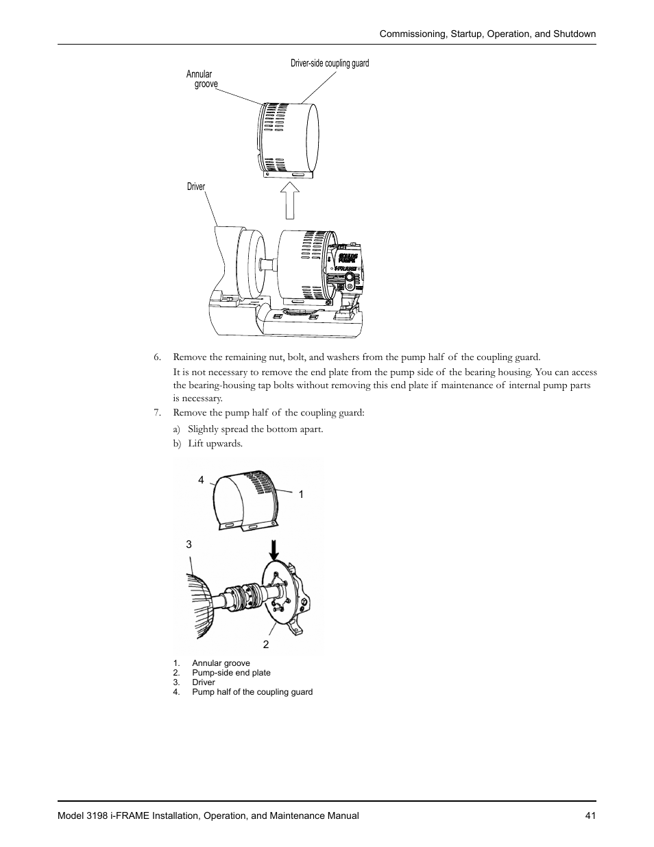 Goulds Pumps 3198 i-FRAME - IOM User Manual | Page 43 / 126