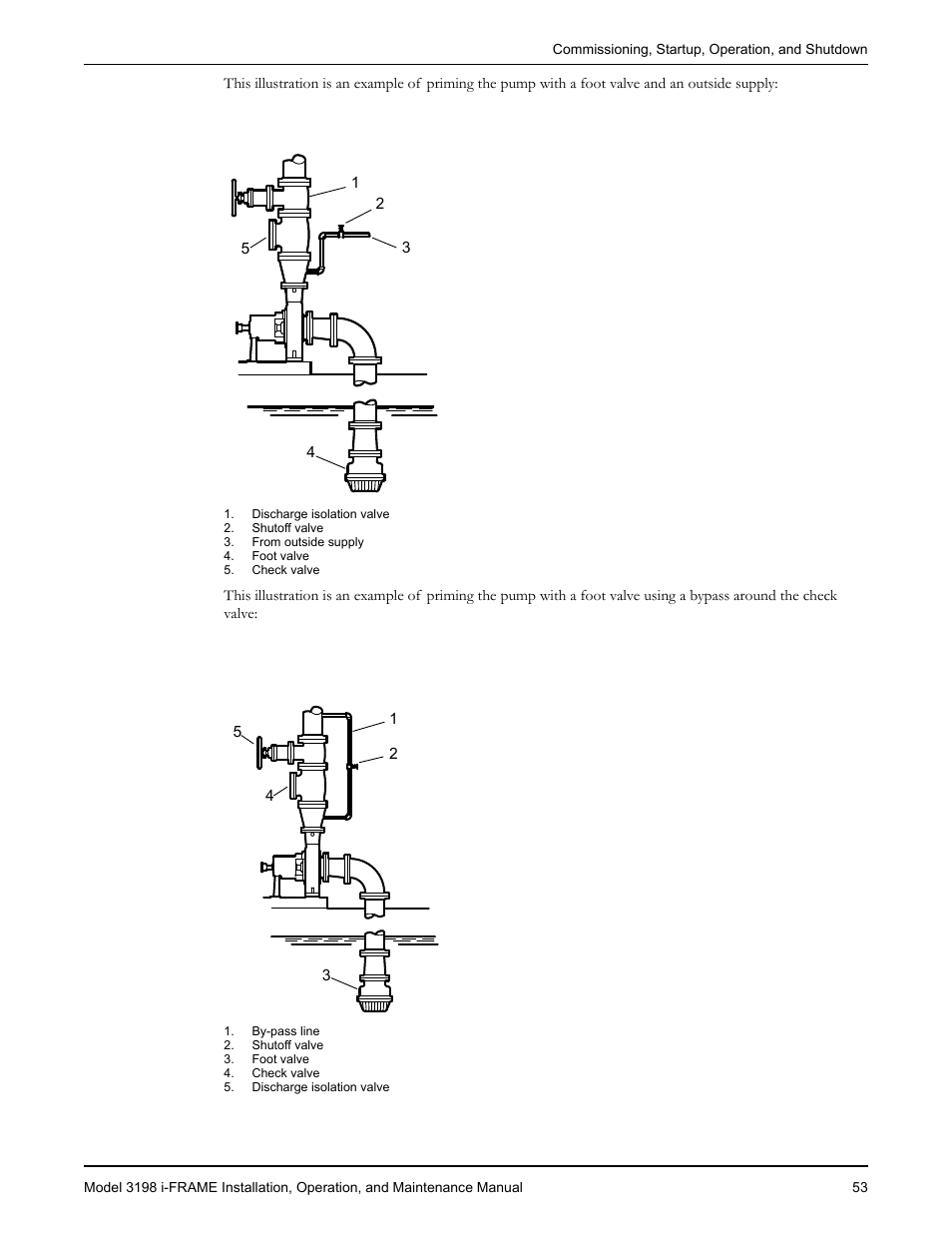 Goulds Pumps 3198 i-FRAME - IOM User Manual | Page 55 / 126