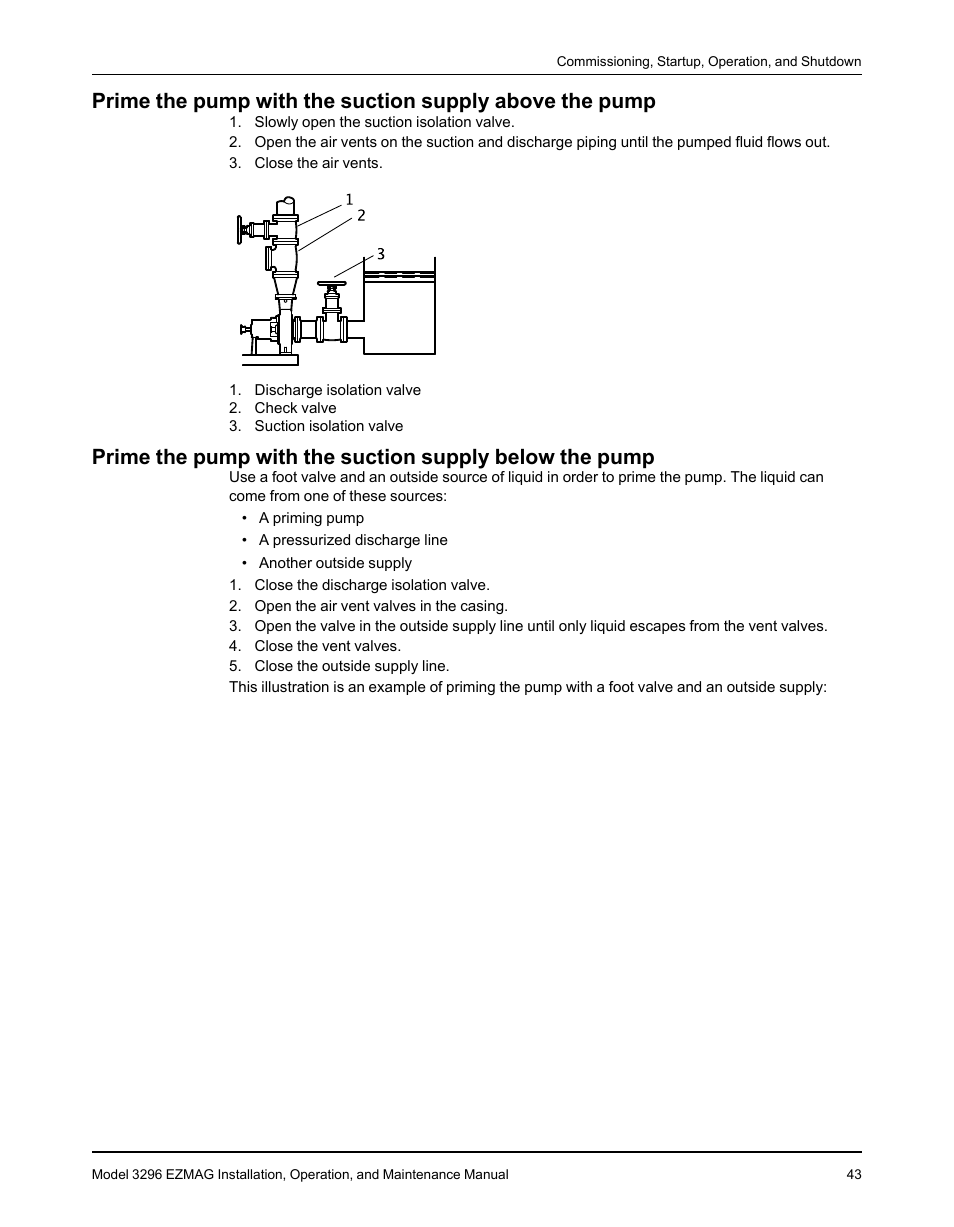 Goulds Pumps 3296 EZMAG - IOM User Manual | Page 45 / 96