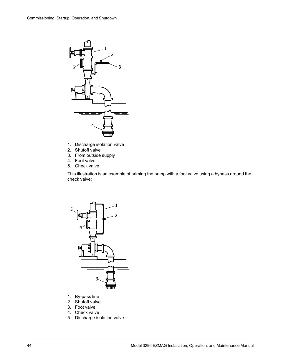 Goulds Pumps 3296 EZMAG - IOM User Manual | Page 46 / 96