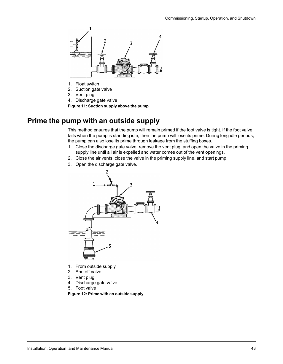 Prime the pump with an outside supply | Goulds Pumps 3610 - IOM User Manual | Page 45 / 98