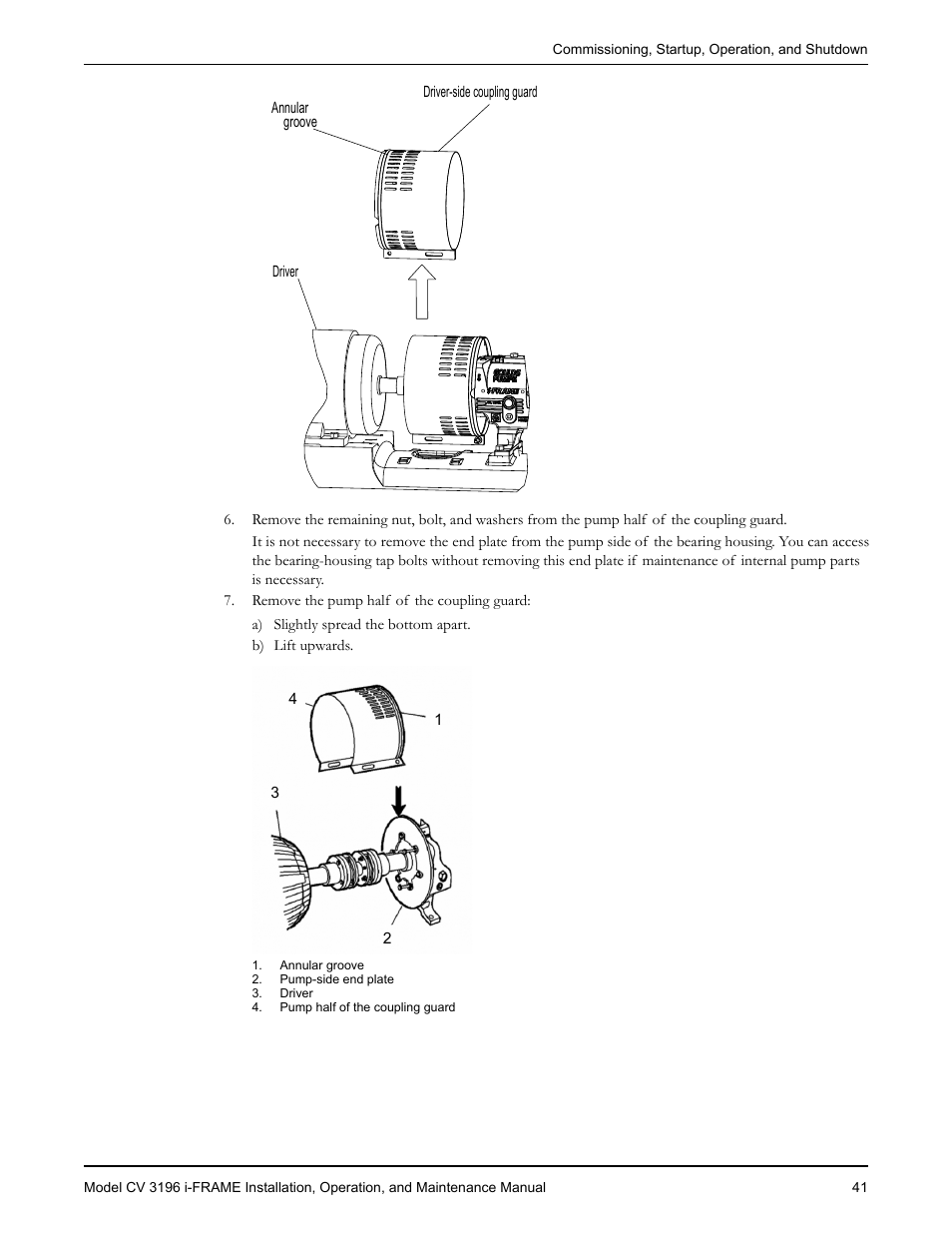 Goulds Pumps CV 3196 i-FRAME - IOM User Manual | Page 43 / 152