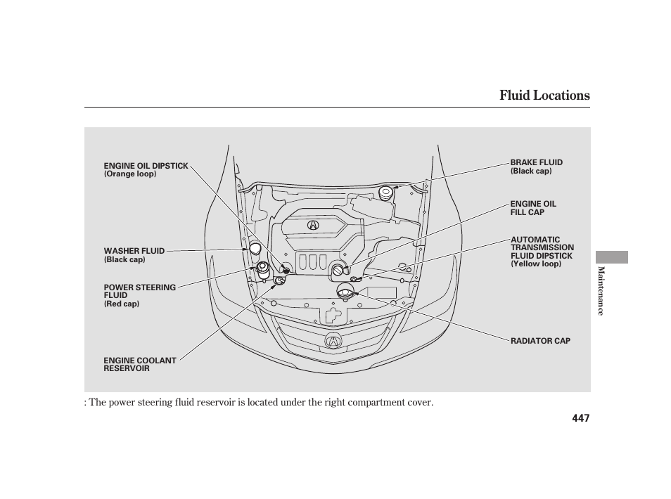 Fluid locations | Acura 2009 RL User Manual | Page 453 / 554