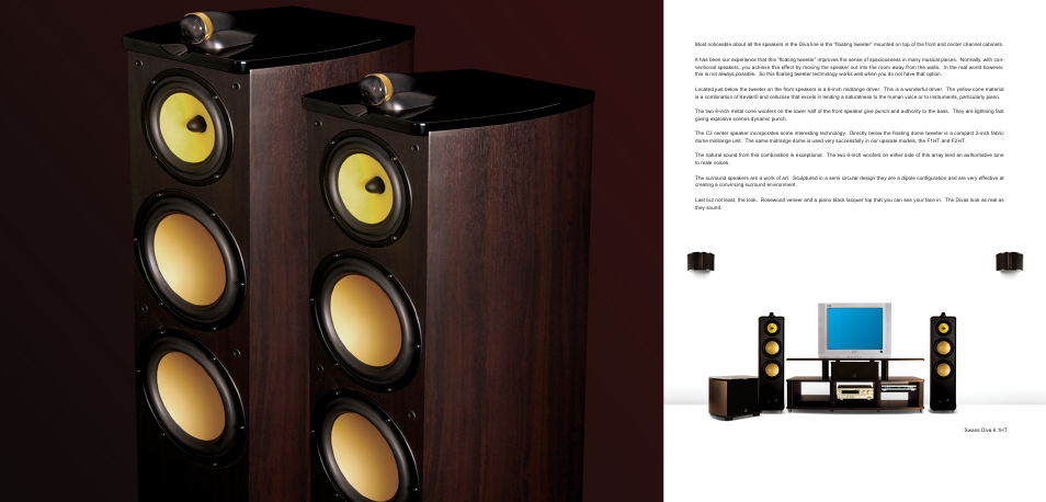 HiVi Home Theater User Manual | Page 11 / 14