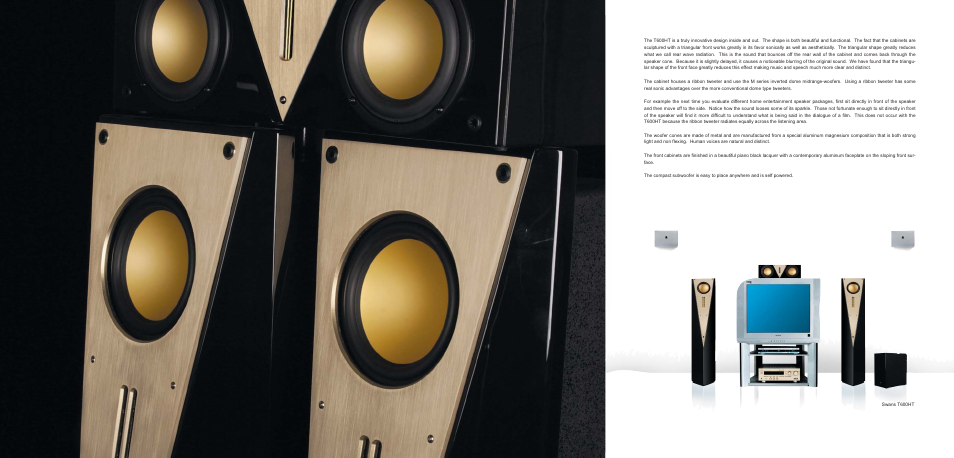 HiVi Home Theater User Manual | Page 13 / 14
