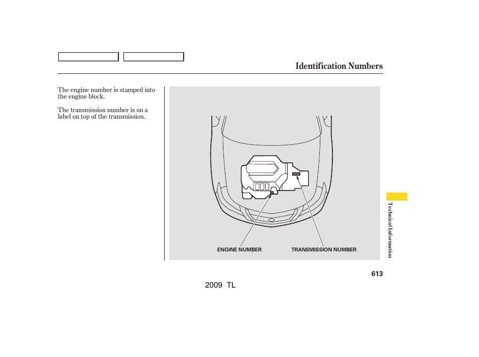 Identification numbers, 2009 tl | Acura 2009 TL User Manual | Page 616 / 648