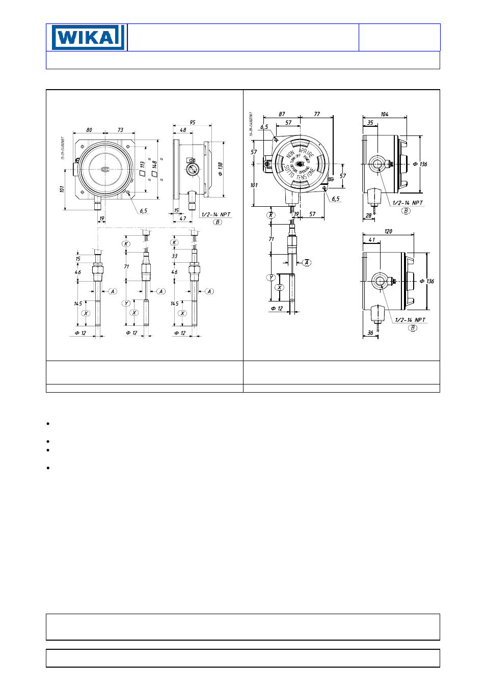 WIKA TWG User Manual | 6 pages