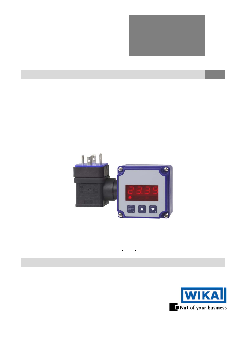 WIKA A-AI-2 User Manual | 28 pages