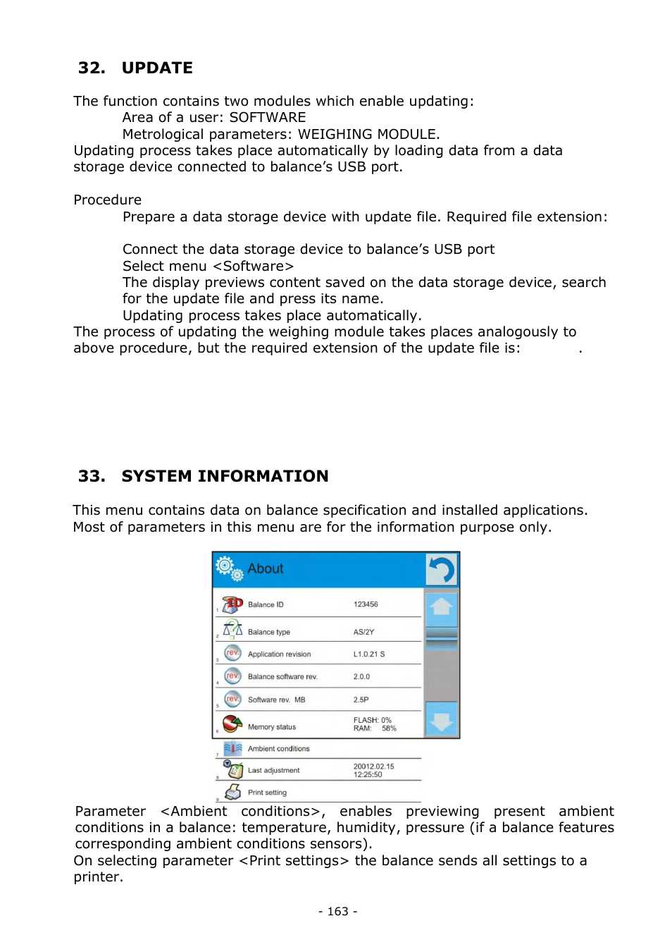 Update, System information | RADWAG MYA 5.3Y.F1 Microbalance User Manual | Page 163 / 198