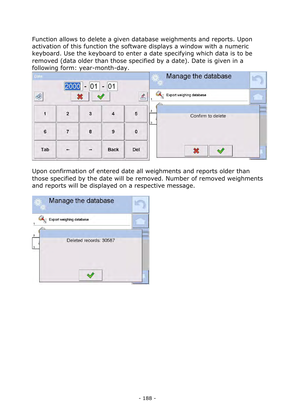 Delete weighments and reports | RADWAG BALANCES 3Y SERIES User Manual | Page 188 / 246