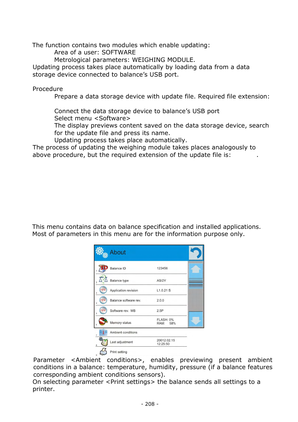 Update, System information | RADWAG BALANCES 3Y SERIES User Manual | Page 208 / 246