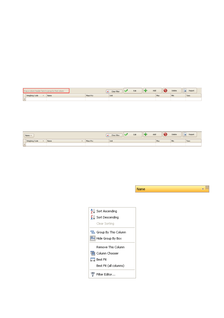 Working window of the program, Sorting information, Additional filtering options | RADWAG E2R Weighing Records User Manual | Page 31 / 59