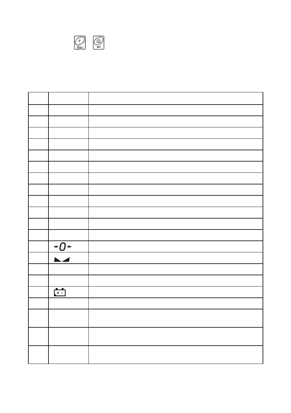 Inscriptions on the display | RADWAG PUE C/31H/Z Indicator User Manual | Page 12 / 68