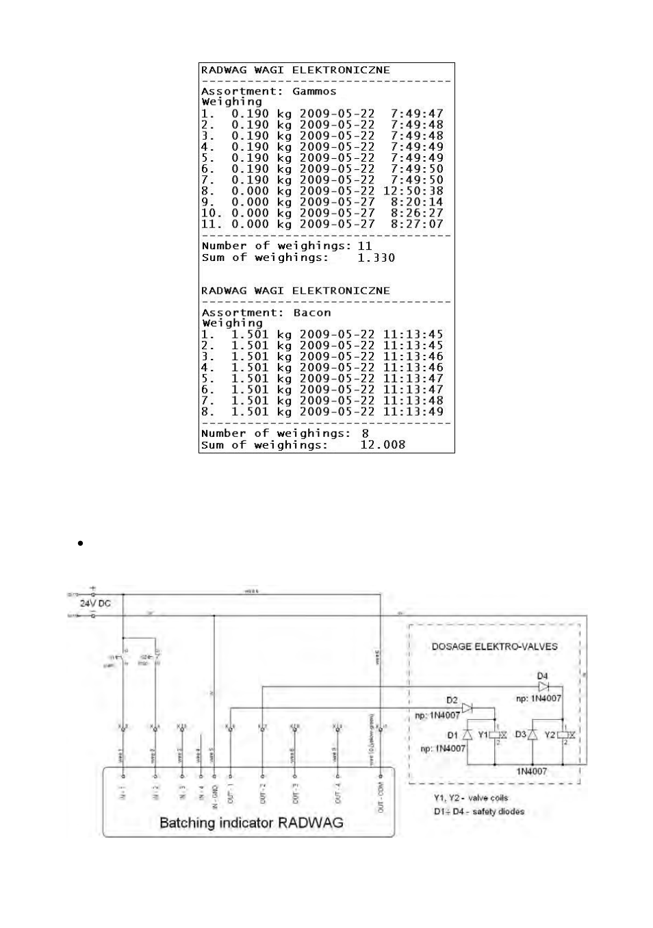 Examples of surge protections | RADWAG PUE C41H Indicator User Manual | Page 161 / 163
