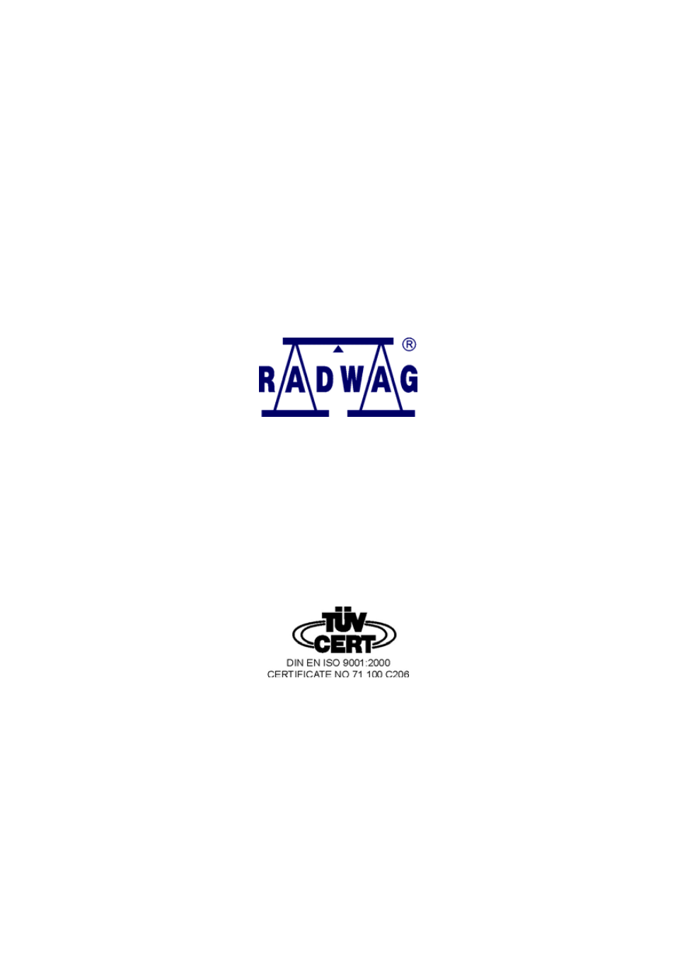 Manufacturer | RADWAG PUE C41H Indicator User Manual | Page 163 / 163