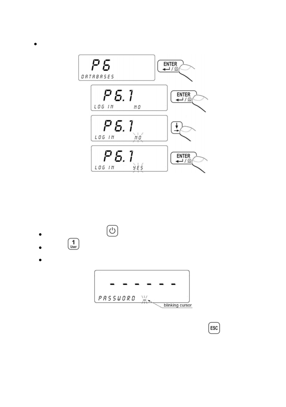 RADWAG PUE C41H Indicator User Manual | Page 59 / 163