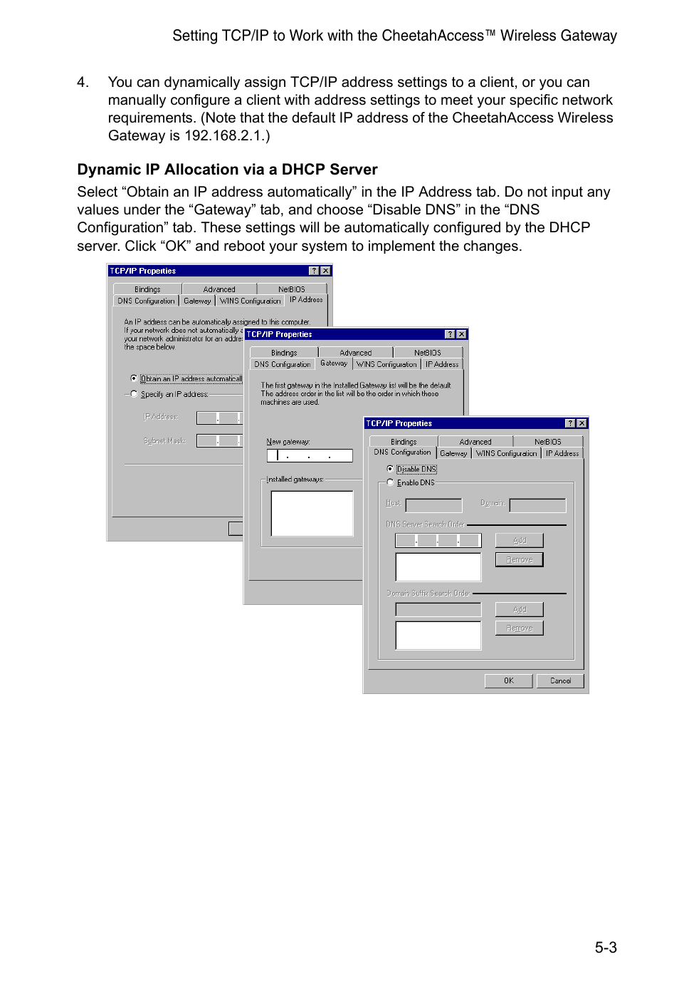 Dynamic ip allocation via a dhcp server | Accton Technology CheetahAccess Wireless Gateway AC-IG2004W User Manual | Page 45 / 74