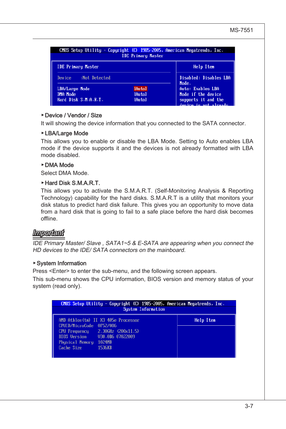 Important | MSI 785GT-E63 User Manual | Page 43 / 106