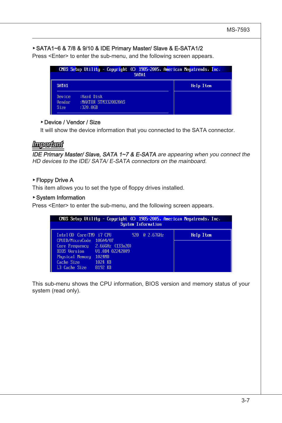 Important | MSI X58M User Manual | Page 53 / 104
